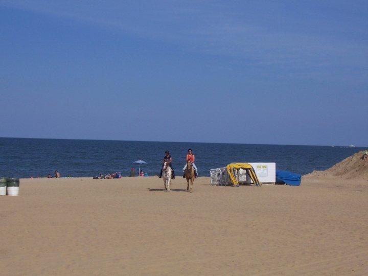 Hyatt House Virginia Beach / Oceanfront Kültér fotó